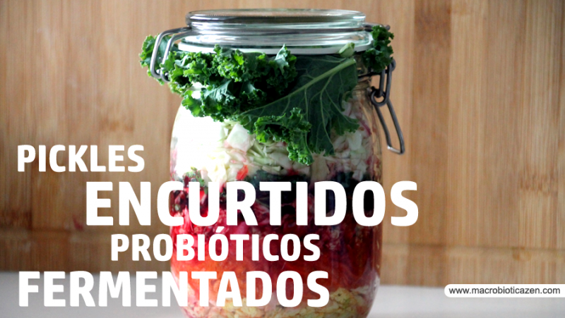 encurtidos fermentados probioticos pickles MACROBIOTICA ZEN